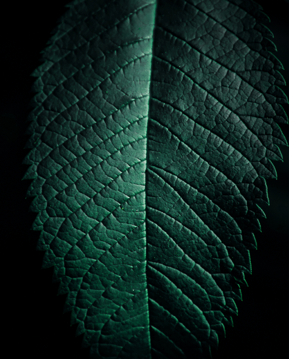 Sustainable production of DLC coatings using plasma-enhanced chemical vapor deposition methods.