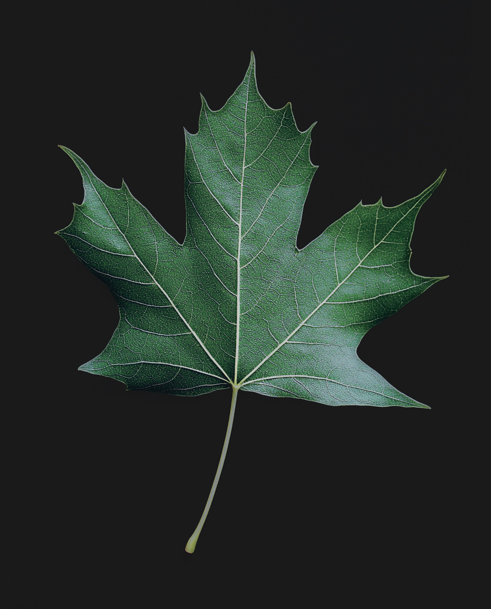 Smooth texture of non-toxic, hypoallergenic acetate suitable for sensitive skin.