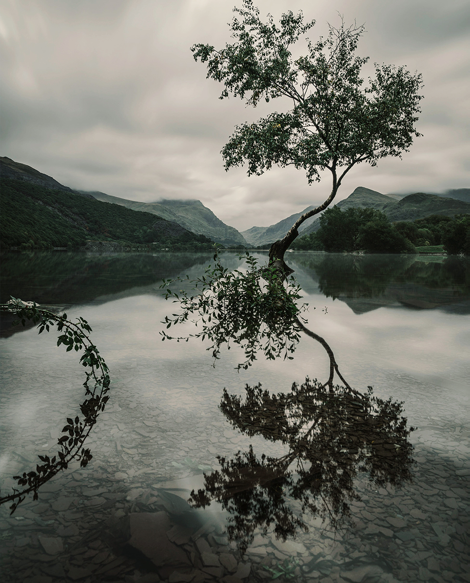 FSC certified wood sourced from responsibly managed forests to protect ecosystems and social standards.